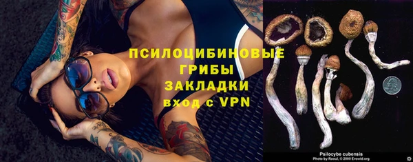 не бодяженный Кинешма