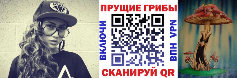 Псилоцибиновые грибы GOLDEN TEACHER  Катайск 